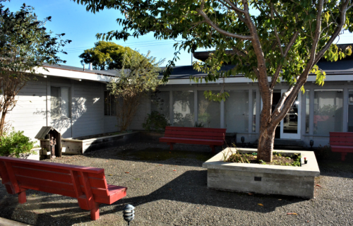 St. Bernard's Academy 학교 사진 - 청담원유학원