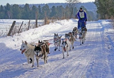 Marshall School 학교 사진 - 청담원유학원