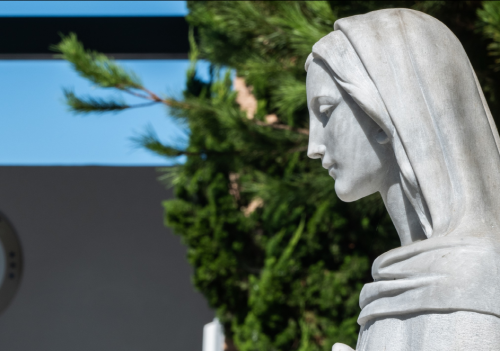 Mater Dei Catholic High School 학교 사진 - 청담원유학원