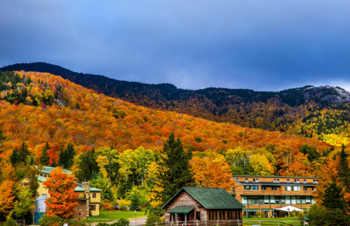 North Country School 학교 사진 - 청담원유학원